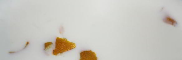 бинье с кремом шантильи, покрытый шоколадным ганашем