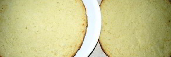 бисквит на горячем молоке со сметанно-йогуртовым кремом