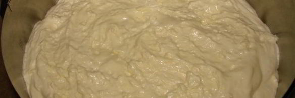 бисквит на желтках и заварной сметанный крем