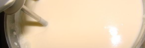 бисквит на желтках и заварной сметанный крем