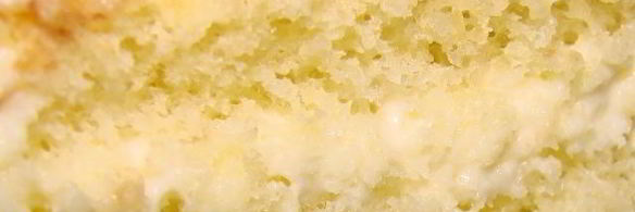 бисквит на желтках и заварной сметанный крем