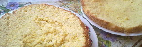 бисквит со сметанно-йогуртовым кремом