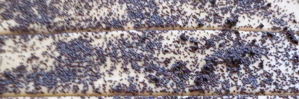 булочки со сливочным кремом