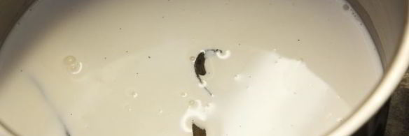 крем-брюле из топленого молока