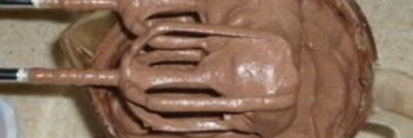 крем для торта из сгущенки