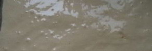 рулет бисквитный с кремом