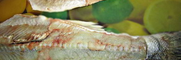 судак под кремовой шубкой