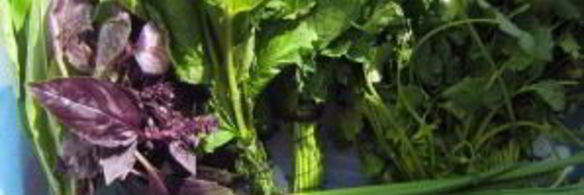 творожный крем с зеленью