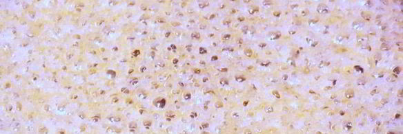 яблоки на слоеном тесте со сметанным кремом