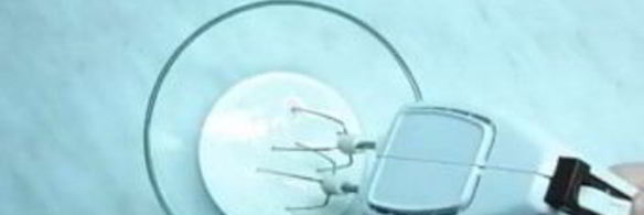 абрикосовое мороженое