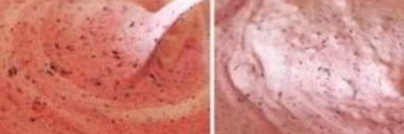 мороженое из голубики и красной смородины