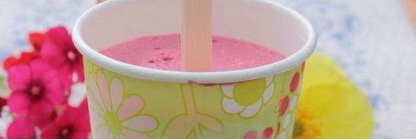 мороженое на йогурте со смородиной