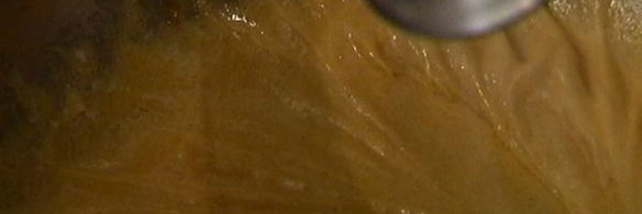 мороженое с базиликом и лимоном