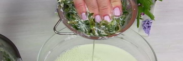 мороженое с мятой и шоколадом