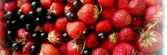 мороженое в ягодном раю