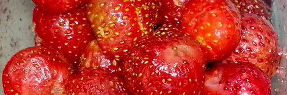 мороженое в ягодном раю