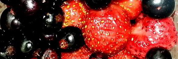 мороженое в ягодном раю