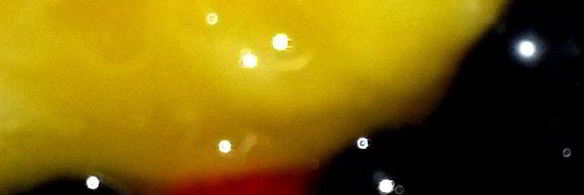 мороженое в ягодном раю