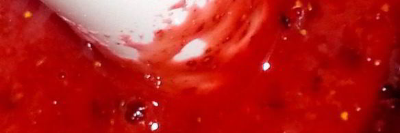 мороженое в ягодном раю