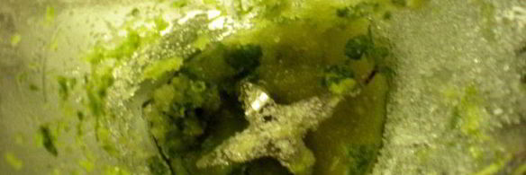 мороженоемохито