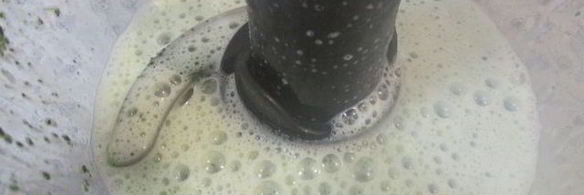 мятное мороженое с кусочками шоколада