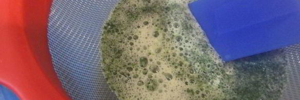 мятное мороженое с кусочками шоколада