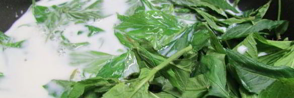 мятное мороженое с кусочками шоколада