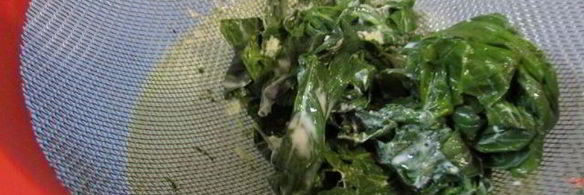 мятное мороженое с кусочками шоколада