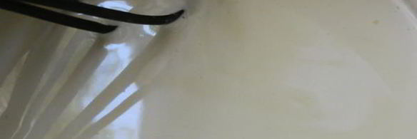 пломбир по госту