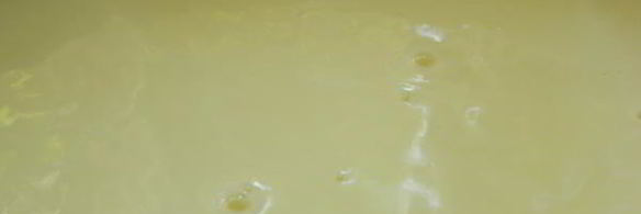 пломбир по госту