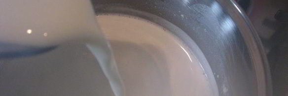 сливочное мороженое страчателла