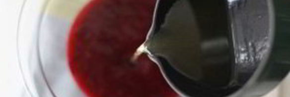 смородиновое мороженое