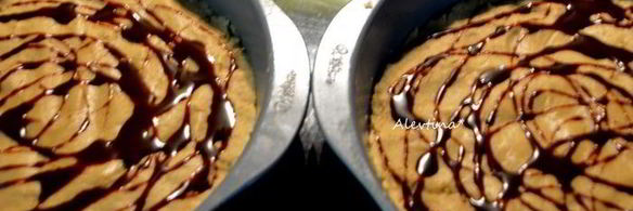 торт-мороженое с ирисовым соусом