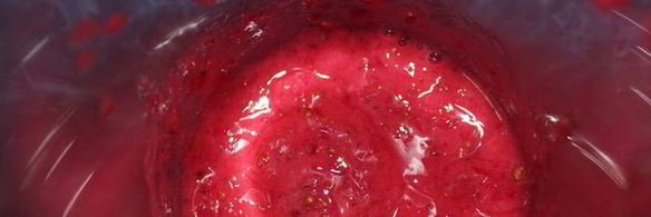 торт-мороженое смородинка