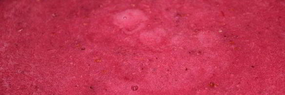 торт-мороженое смородинка