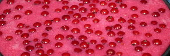 торт-мороженое смородинка