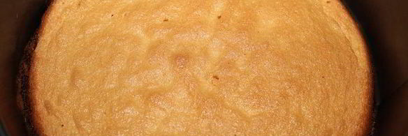 торт-мороженое смородинка