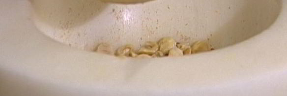 шоколадный мусс с фундуком