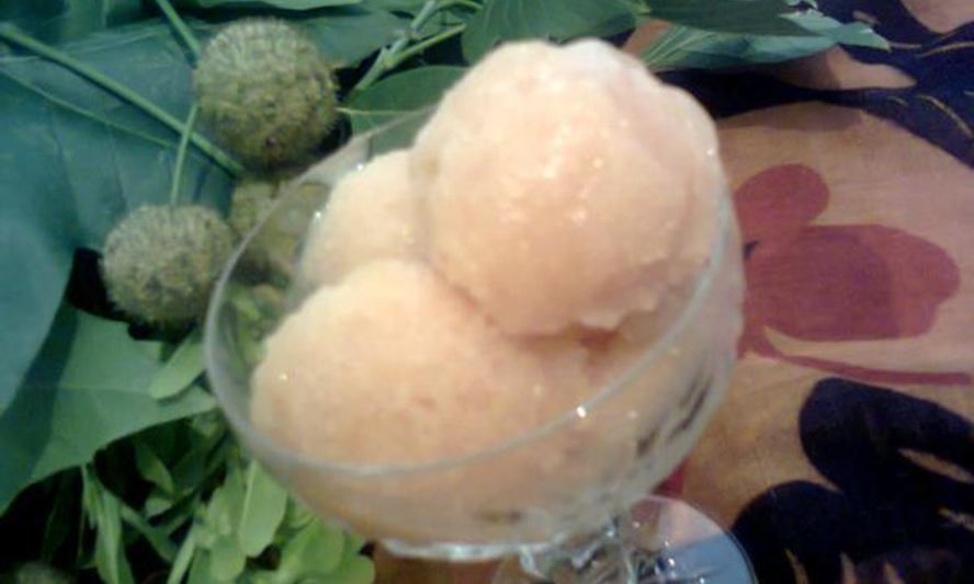 Рецепт нектаринового сорбета