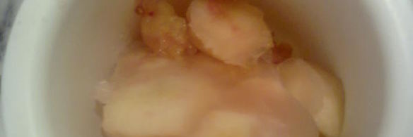 нектариновый сорбет