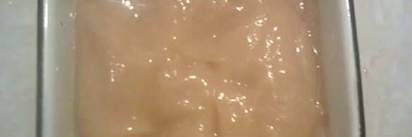 нектариновый сорбет