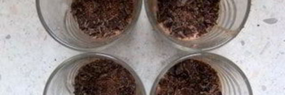 панна котта с маскарпоне, шоколадом и ликером baileys