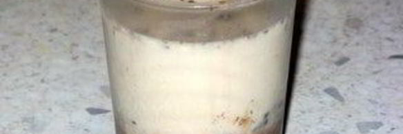 панна котта с маскарпоне, шоколадом и ликером baileys