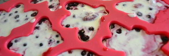 панна котта с ягодным соусом