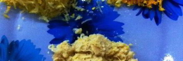 имбирные пасхальные пряники