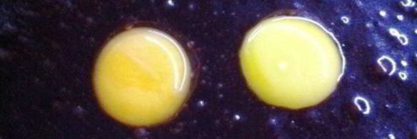 имбирные пасхальные пряники