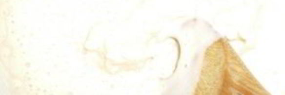 крестная пасха