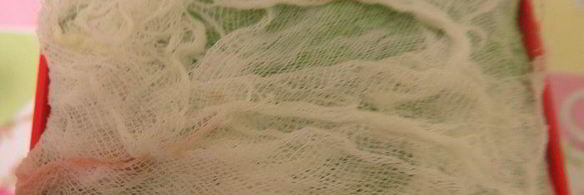 молочно-мятная пасха цветок