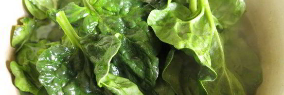 молочно-мятная пасха цветок