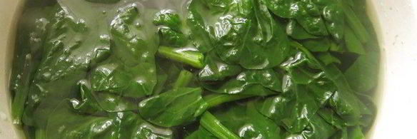 молочно-мятная пасха цветок